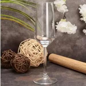 심플 피노누아르 샴페인잔1개 (WFK9255)