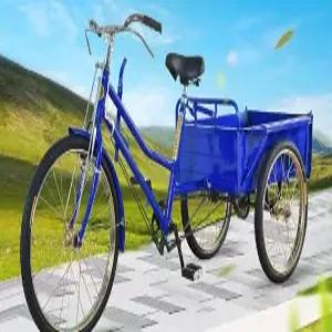 배달자전거 짐싣는 삼발 성인용세발자전거 3발 농촌