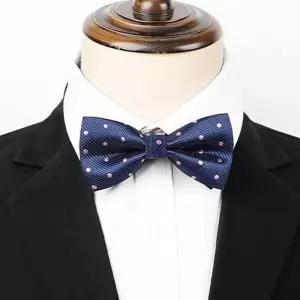 나비넥타이 보타이 연주회 행사 신사캐주얼 남자타이 (WFK9FHI)