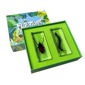 곤충 표본 수지 종류의 쿼츠스톤 채집 투명 물고기 액세서리 박쥐 임베디드 나비