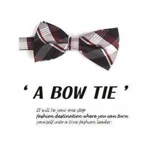 [하프클럽/]면 오피스룩 고급 일반 신상 넥타이 보타이 남자