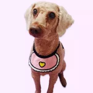 반려동물패션 강아지 턱받침 애완동물 스카프 대형