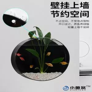 감성 인테리어 액자 빈티지 화분 디자인 꽃병 포인터 벽걸이형 수경재배 식물 미니 소형어처 조경 원형 화