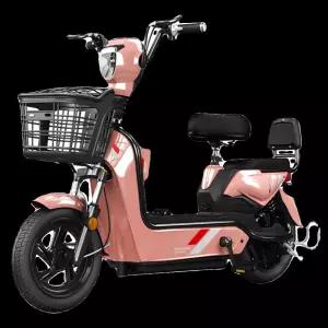 2인 전기 오토바이 입문 여성 소형스쿠터 초보자 노인