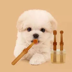 [콩심팥심]디어펫 반려동물 칫솔+혀클리너 세트 휴대용케이스