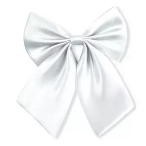 [하프클럽/]여성 리본 넥타이 교복 촬영용 고리형 코스튬 타이 화이트
