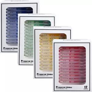 48개의 준비된 현미경 슬라이드 세트 를 위한 동물 식물 과일 채소 표본 생물학적 STEM 과학 학습 홈스쿨