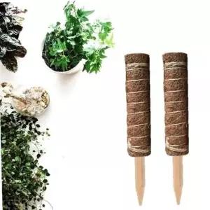 ksr 코코넛 야자 스틱 (식물 지주대) 코코봉 45cm