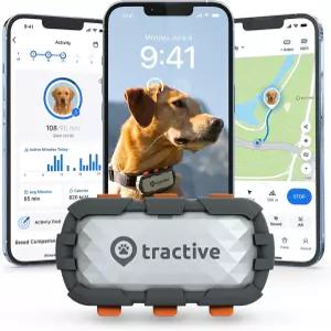 Tractive XL 스마트 도그 GPS 트래커 가상 울타리가 있는 라이브 펫 심박수 및 호흡수 모니터링 바이탈