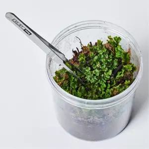 실험 관찰용 지렁이 이끼키우기세트 비치용 특활활동 곤충공부