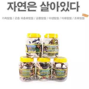 어린이집 교육용 미니어쳐 곤충 동물 공룡 모형 세트 피규어 교구 완구 시리즈 교재용 유치원 모래 치료 곤