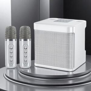 성인용 노래방 기계, 2개의 무선 마이크가 있는 휴대용 블루투스 스피커, 대규모 파티용 PA 시스템, 야외용