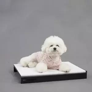 여름용 반려견전용 대리석침대 U132474 방석 개집