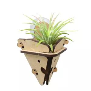 5인세트 실내먼지제거 공기정화 이오난사 벽걸이화분 자연관찰 자연과학