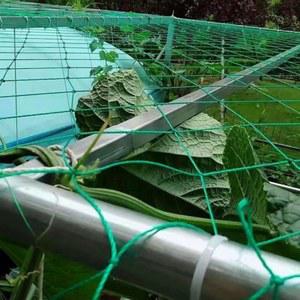 유인망 사각 오이망 넝쿨식물 줄기망 네트 포도 고추 참외