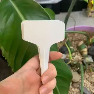 식물 이름표 20개 세트 기본 깔끔 T자형