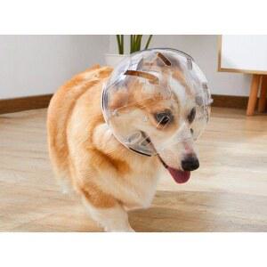 노견 헬멧 머리 보호구 충돌방지 충돌 물림방지 넥카라 링 모자 입마개 애견