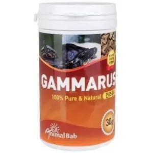 PSP 감마루스 30g /거북이먹이 거북이사료 거북이밥 ,1개