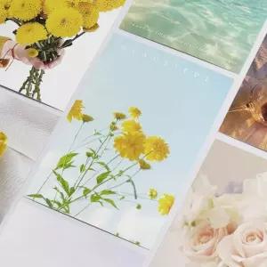 엽서 모음 드림 컬러 인기 감성 신상품
