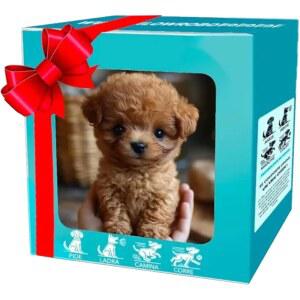 요가니 2025 새로운 AI 짖고, 로봇 흔들고, 행동하는 인터랙티브 강아지, 현실적인 실제 달리는 진짜 걷고, 나의 강아지처럼 꼬리를 애완동물