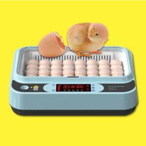 샤크팡 키우기 자동 달걀 계란 앵무새 부화기 병아리 오리 인큐베이터