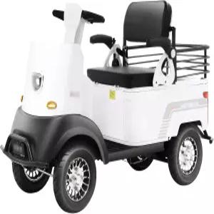 전기 골프 카트 여객 크루저 용량 저장 트렁크가 장착된 전동 모빌리티 스쿠터 표준 120V 콘센트 충전