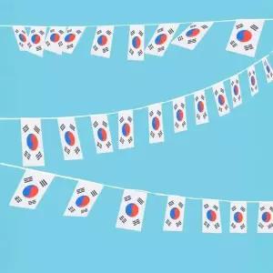 [에이치플러스몰]행사 파티 기념일 15m 만국기 태극기 놀이동산 50장 태극기뱃지