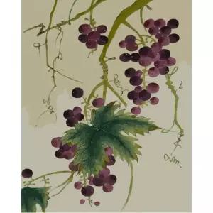 피포페인팅 2047 신사임당 포도 40x50 DIY 명화 유화 그리기 그림그리기 화실 그림