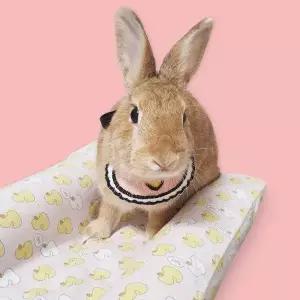 반려동물 턱받침 A 소 애견스카프 고양이스카프 토끼