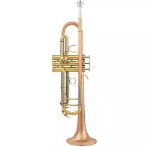 야마하 트럼펫 연습용 트럼본 초급 브러시드 악기 관악기