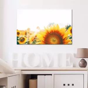 ( JDZ555P7 출고옵션 - 25x40cm ) 감성 해바라기 캔버스액자 플