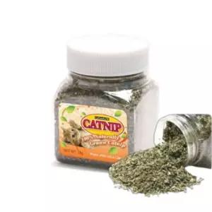 고양이 천연 캣닢 가루 28g 1P 파우더 장난감 간식 (WFKJWJU)