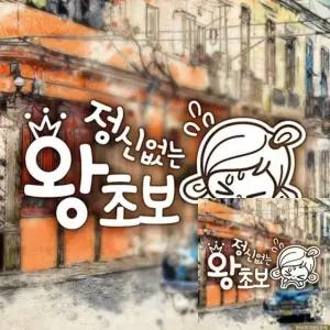 초보 운전 차량 안전 스티커 반사형 자동차 장식 초순이 꾸미기 (WFKKYQY)