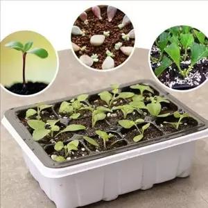 식물 육묘 트레이 모종판 텃밭 원예용 육묘도구 발아용 모종