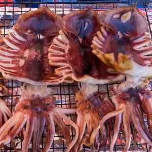 촉촉한 피데기 반건조 오징어 5마리 (소/350g)