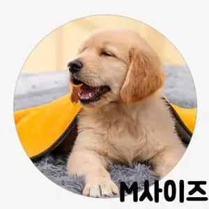 OH 반려동물 소프트 극세사 샤워타올 M타올 타월 강아지 애견 목욕용품 펫타올 수건 고양이용