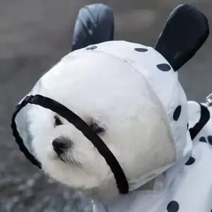 점패턴 애견 판초 반려견 우비 망토 비오는날 산책 강아지우비 강아지비옷 강아지옷