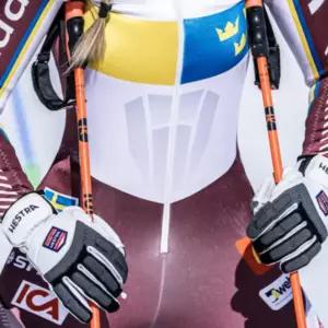 헤스트라 스키 손가락 장갑 가죽 보드 썰매 화이트 S BNA