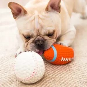 애견 삑삑이 야구공 M 1P 라텍스 장난감 스트레스해소 WC7935A