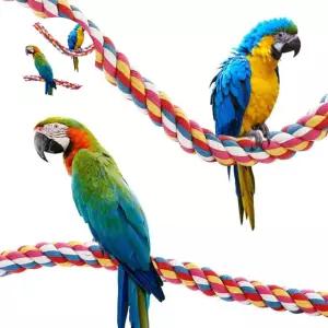 (제스트)횃대 컬러 앵무새 그네 1P 장남감 휴식공간 105cm