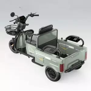 삼륜 전동차 농업용 운반차 자전거 스쿠터 전기 세발