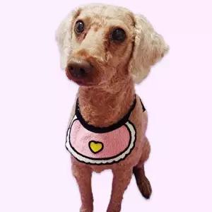 고품질 애견스카프 반려동물 턱받침 A 대 고양이스카프 애견스카프 고양이스카프 토끼옷 WFIPEZD