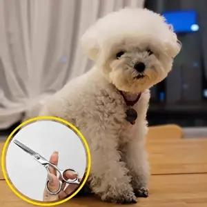 스텐레스 미용 이발 숱치기 틴닝가위-WFIQR9O