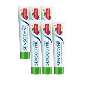 글락소스미스클라인 센소다인 오리지널 플러스 치약 100g  6개