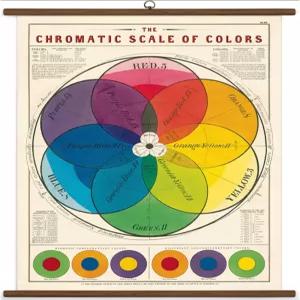 카발리니 앤 코 빈티지 학교 차트 색채 척도