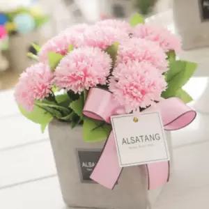 어버이날 대 감사하는마음 핑크 스승의날 카네이션 AWA15D75