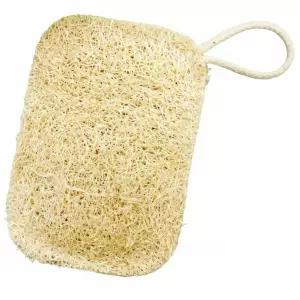 식물 2중 수세미 주방 설거지