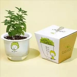 새싹 식물 재배 키트 심기 씨앗 키트 키우기 높은 정원