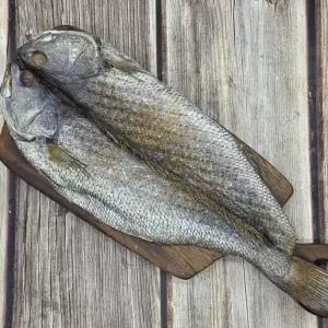 국내산 반건조 민어 제수용 특대 1미