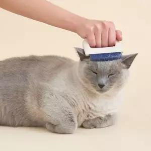 프로젝트21 고양이 강아지 털 빗 관리 브러쉬 소프트 그루밍 단품 1개